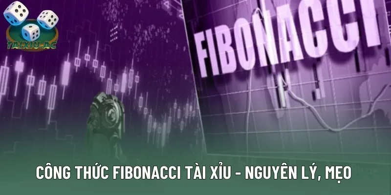 Công Thức Fibonacci Tài Xỉu - Nguyên Lý, Mẹo Áp Dụng Hay