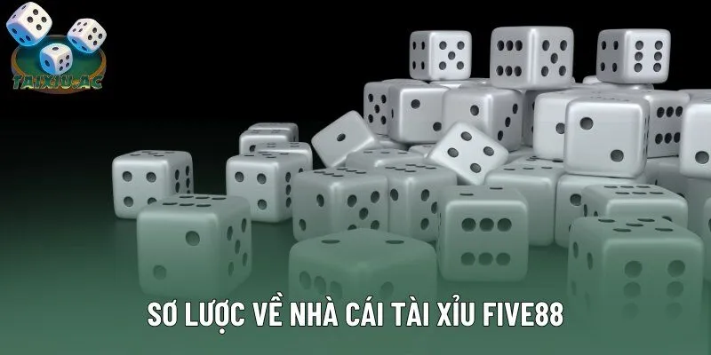 Sơ lược về nhà cái tài xỉu Five88