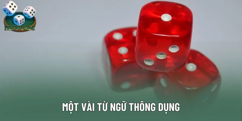 Một vài từ ngữ thông dụng