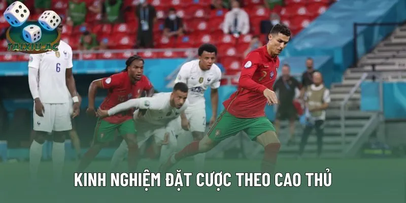 Kinh nghiệm đặt cược theo cao thủ