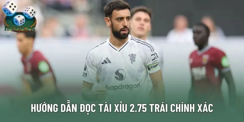 Hướng dẫn đọc tài xỉu 2.75 trái chính xác