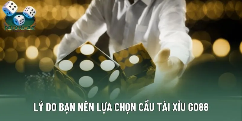 Lý do bạn nên lựa chọn cầu tài xỉu Go88