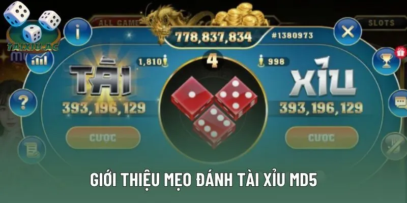 Giới thiệu mẹo đánh tài xỉu md5
