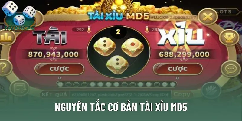 Nguyên tắc cơ bản tài xỉu md5