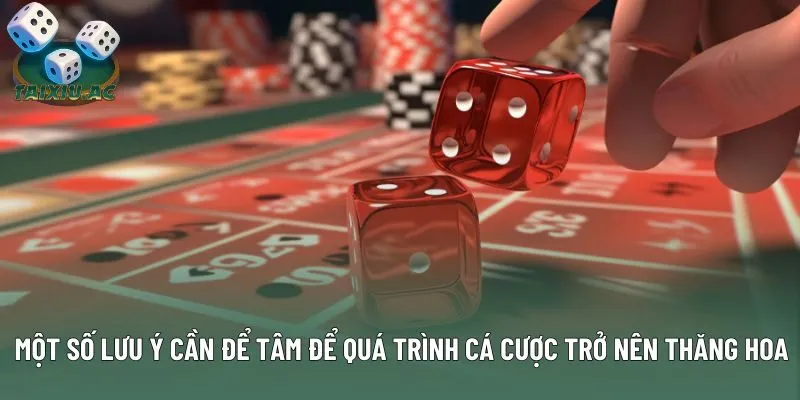 Một số lưu ý cần để tâm để quá trình cá cược trở nên thăng hoa