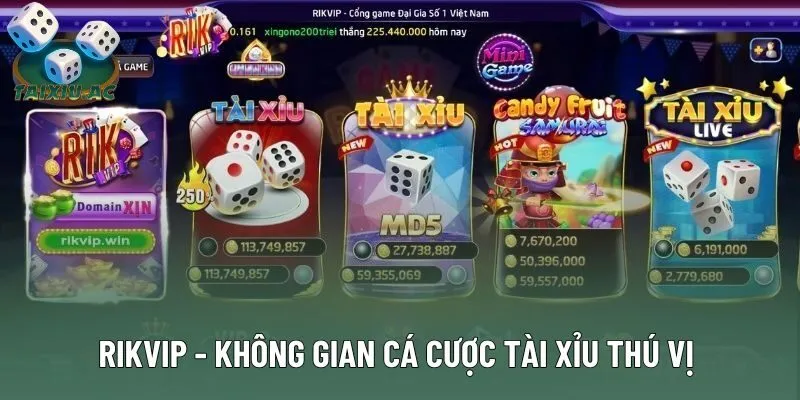 Rikvip - Không Gian Cá Cược Tài Xỉu Cực Thú Vị Và Hấp Dẫn