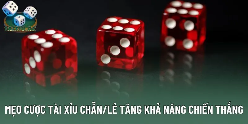 Mẹo cược tài xỉu chẵn/lẻ tăng khả năng chiến thắng