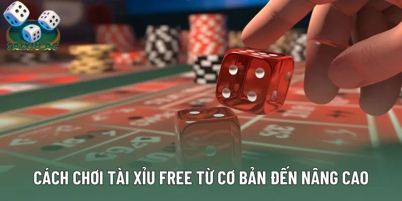 Cách chơi tài xỉu free từ cơ bản đến nâng cao