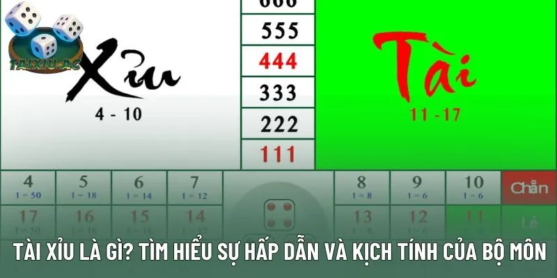 Tài xỉu là gì? Tìm hiểu sự hấp dẫn và kịch tính của bộ môn