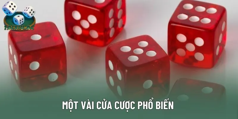 Một vài cửa cược phổ biến 