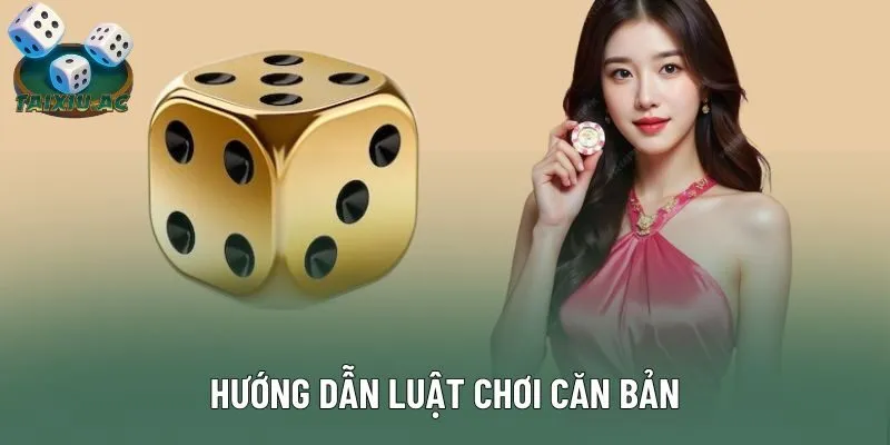 Hướng dẫn luật chơi căn bản