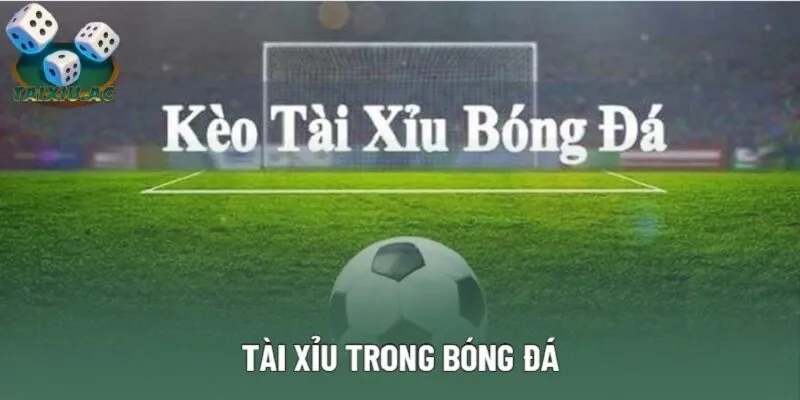 Tài Xỉu Trong Bóng Đá | Phương Pháp Chơi Cược Hiệu Quả 2025