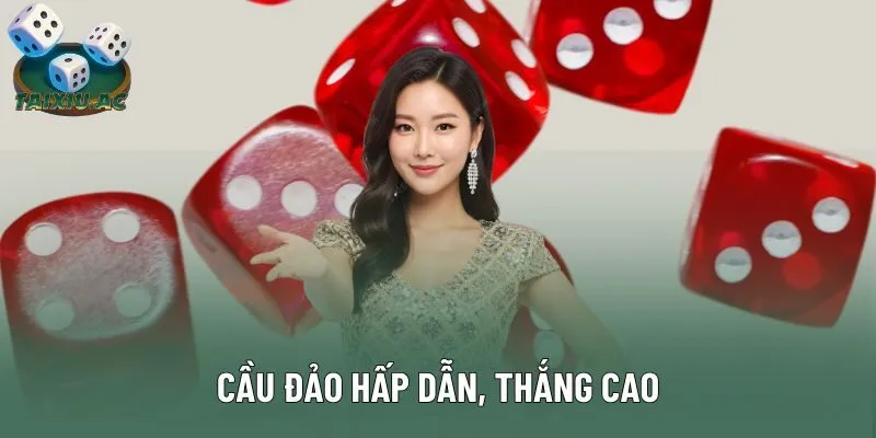Cầu đảo hấp dẫn, thắng cao