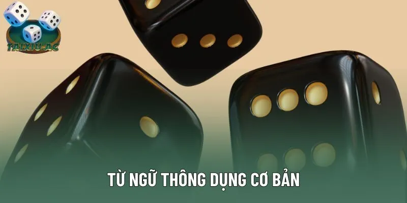 Từ ngữ thông dụng cơ bản