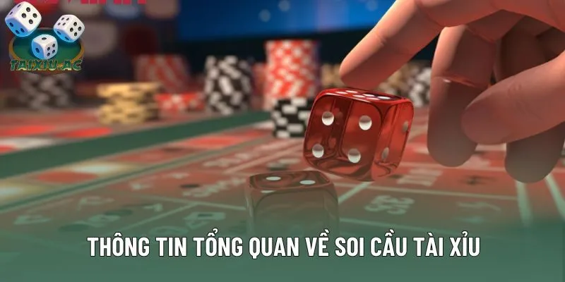 Thông tin tổng quan về soi cầu tài xỉu