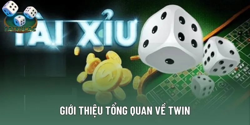 Giới thiệu tổng quan về Twin