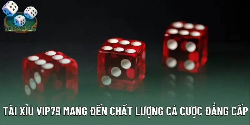 Tài xỉu Vip79 mang đến chất lượng cá cược đẳng cấp