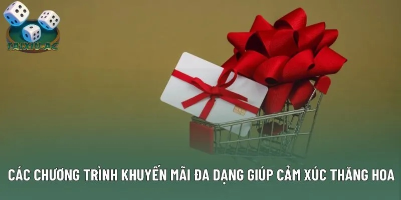 Các chương trình khuyến mãi đa dạng giúp cảm xúc thăng hoa
