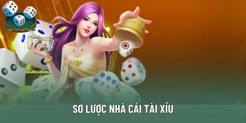 Sơ lược nhà cái tài xỉu